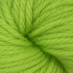 EstelleChunky - 323 Apple Sour.jpg